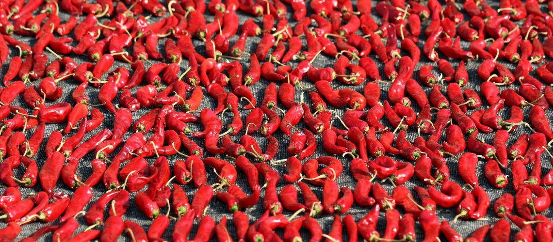 row4_red_song2-min